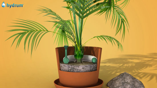 To install <span class='Meta-Bold'>hydrum</span> in your home in pots or planters which already have plants in it, simply remove about 10 cm substrate, leaving enough space to introduce the <span class='Meta-Bold'>hydrum</span> device as horizontally as possible. For new plants :  fill the pot with the substrate up to 10 cm from the edge and continue installing the same way as explained above.